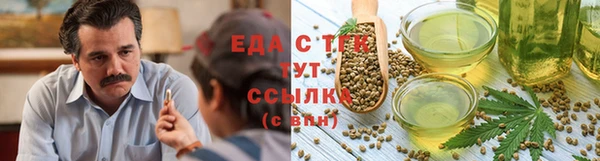 дживик Надым