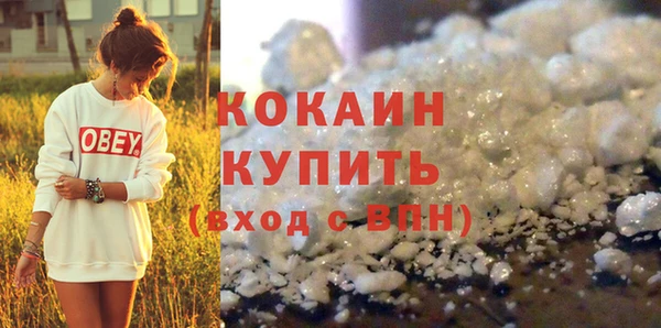дживик Надым