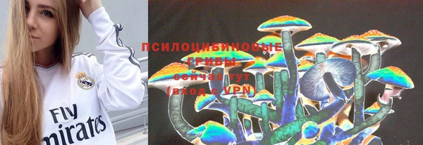 дживик Надым