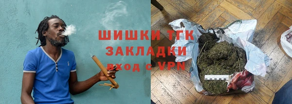 дживик Надым