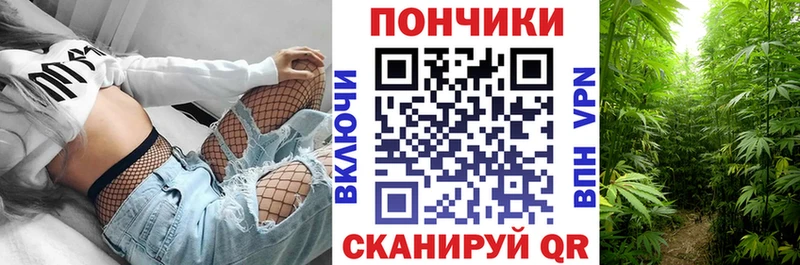 блэк спрут ссылки  Микунь  МАРИХУАНА план  цены наркотик 